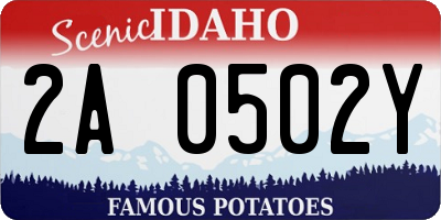 ID license plate 2A0502Y