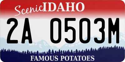 ID license plate 2A0503M