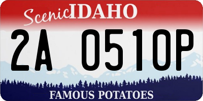 ID license plate 2A0510P