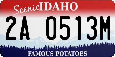ID license plate 2A0513M