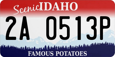 ID license plate 2A0513P