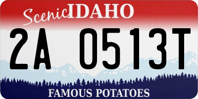 ID license plate 2A0513T