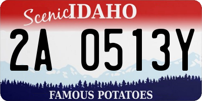 ID license plate 2A0513Y