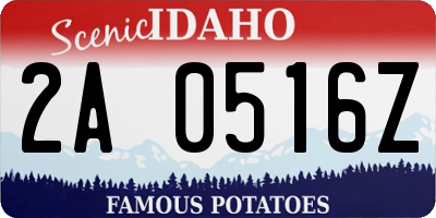 ID license plate 2A0516Z
