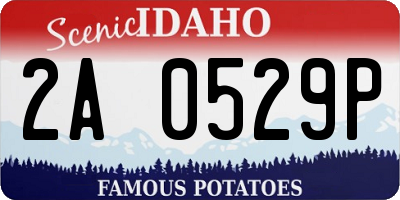 ID license plate 2A0529P