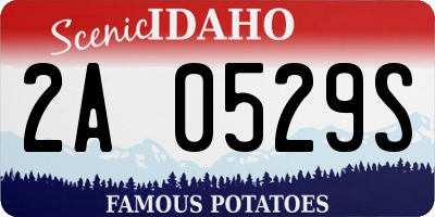 ID license plate 2A0529S