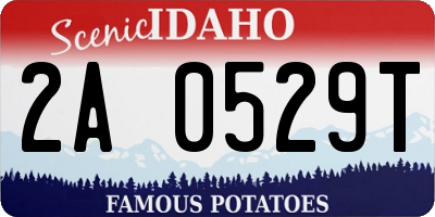 ID license plate 2A0529T