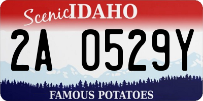 ID license plate 2A0529Y