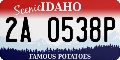 ID license plate 2A0538P