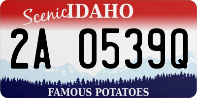 ID license plate 2A0539Q