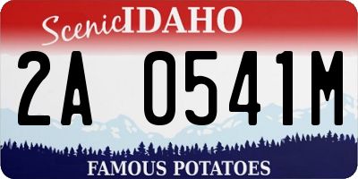 ID license plate 2A0541M