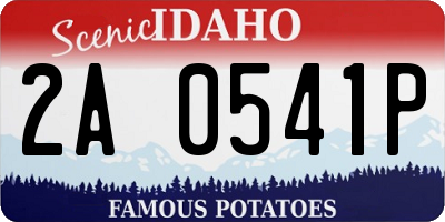 ID license plate 2A0541P