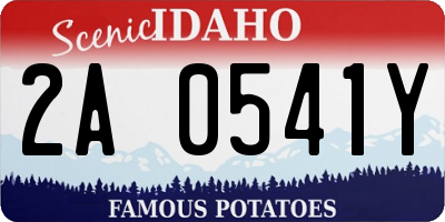 ID license plate 2A0541Y