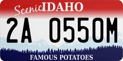 ID license plate 2A0550M