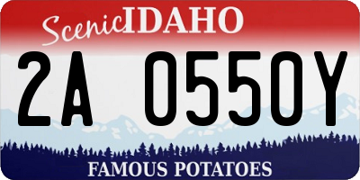 ID license plate 2A0550Y