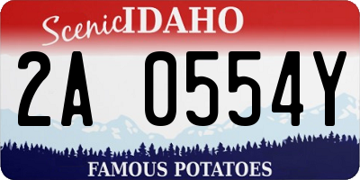 ID license plate 2A0554Y
