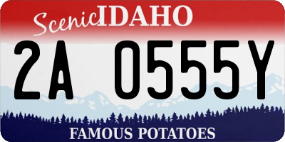 ID license plate 2A0555Y