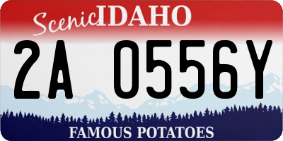 ID license plate 2A0556Y