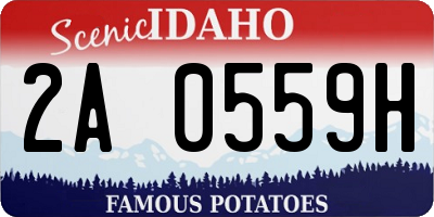 ID license plate 2A0559H