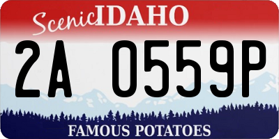 ID license plate 2A0559P