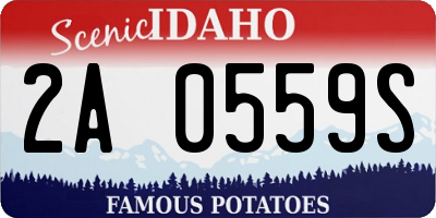 ID license plate 2A0559S