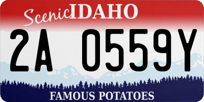 ID license plate 2A0559Y
