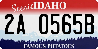 ID license plate 2A0565B