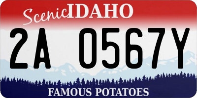 ID license plate 2A0567Y