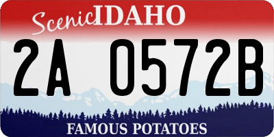 ID license plate 2A0572B