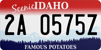 ID license plate 2A0575Z