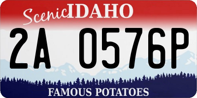 ID license plate 2A0576P