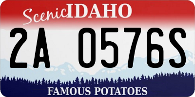 ID license plate 2A0576S
