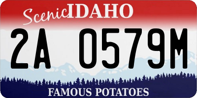 ID license plate 2A0579M