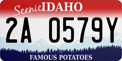 ID license plate 2A0579Y