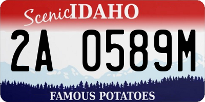 ID license plate 2A0589M