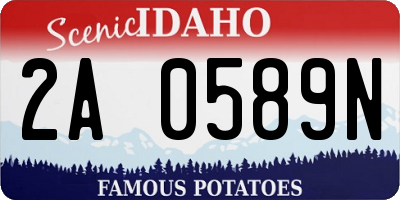 ID license plate 2A0589N