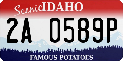 ID license plate 2A0589P