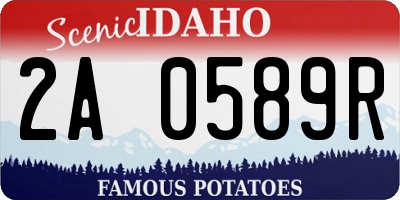 ID license plate 2A0589R