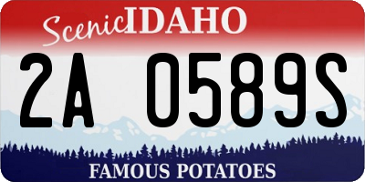 ID license plate 2A0589S