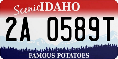 ID license plate 2A0589T