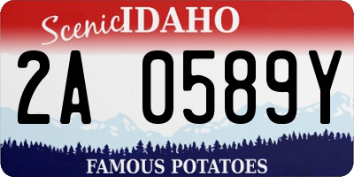 ID license plate 2A0589Y