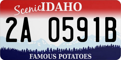 ID license plate 2A0591B