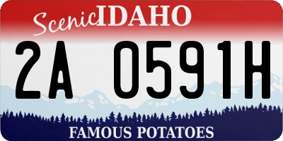ID license plate 2A0591H