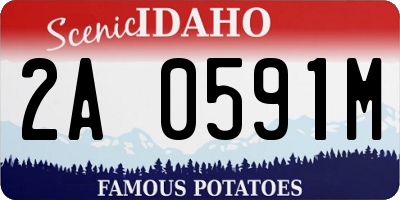 ID license plate 2A0591M