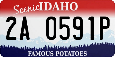 ID license plate 2A0591P