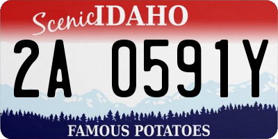 ID license plate 2A0591Y