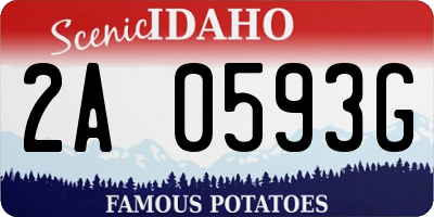 ID license plate 2A0593G