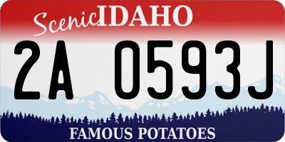 ID license plate 2A0593J