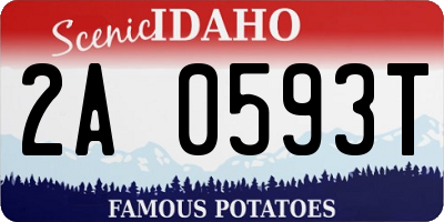 ID license plate 2A0593T
