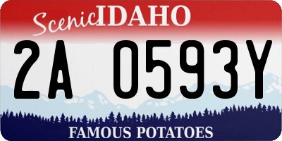 ID license plate 2A0593Y